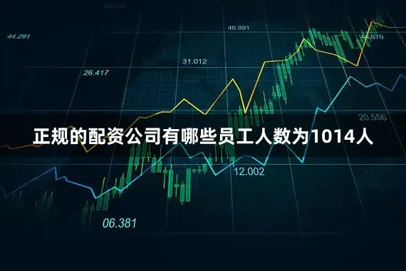 正规的配资公司有哪些员工人数为1014人